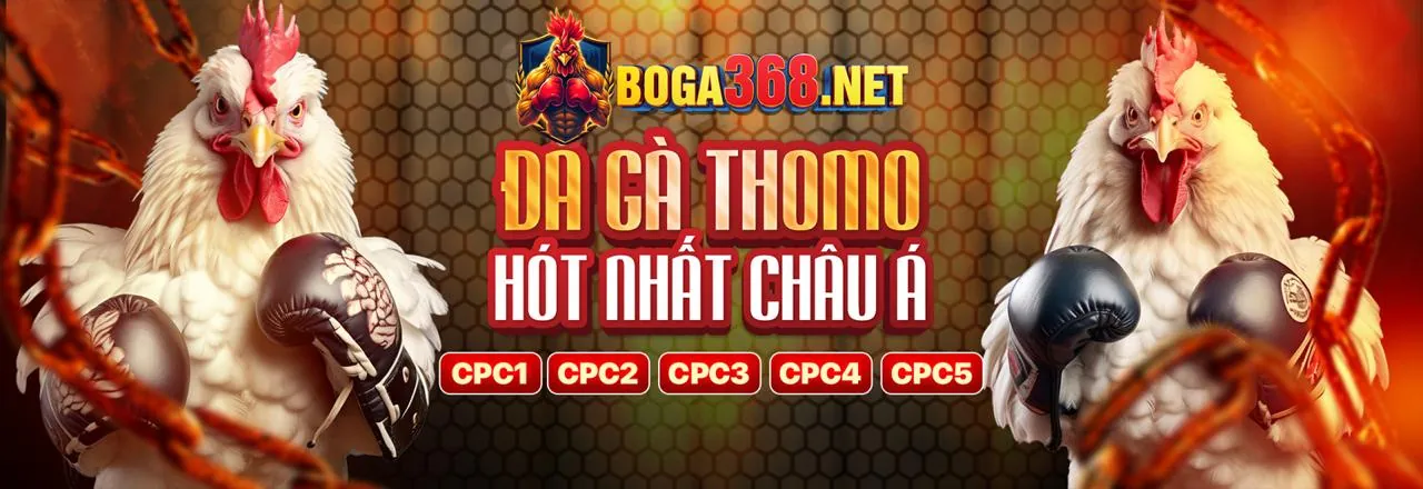 Chương Trình VIP vip88 apk